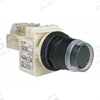 SCHNEIDER Illuminated Push Button: Illuminated, Flush Profile, Non-Metallic, 30 mm, SPDT (MPN 9001SK1L35GH13). Key specifications — Brand: SCHNEIDER; Action: Momentary; Series: 9001SK; Push Button Material Type: Non-Metallic.