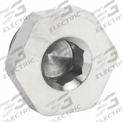 LEGRIS Plug: Hex Drive Cored Plug, 3/8 in, BSPP Threaded, 2,900 psi, 13/32 in Lg - Nickel-Plated Threaded High-Pressure Pipe Fittings