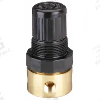 SPEEDAIRE Compressed Air Regulator: Brass, 1/8 in NPT, 15 cfm, 5 psi to 125 psi, Nonrising (MPN 4ZM05). Key specifications — attr111664: No; attr111400: Miniature; attr111627: SPEEDAIRE.