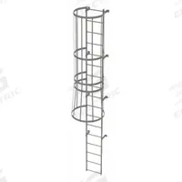 TRI-ARC Fixed Ladder with Safety Cage: 16 ft Overall Ht, 18 in Overall Wd, Steel, 17 Rungs (MPN WLFC1117). Key specifications — Brand: TRI-ARC; Assembly: Unassembled; Number of Sections: 2.
