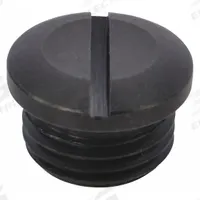 SPEEDAIRE Valve Cap: Mfr Part # TTR4420406G, Valve Cap, Compatible with Grainger Part # 3AAH7. Key specifications — attr948908: TTR4420406G; attr948910: 3AAH7; attr948916: Valve Cap.