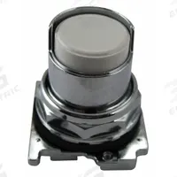 EATON Extended Push Button: 30 mm, Non-Metallic, Momentary (MPN 10250T506). Key specifications — Action: Momentary; Brand: EATON; Series: 10250T; Push Button Material Type: Non-Metallic.