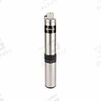 RED LION Submersible Pump 4in: For 4 in Well Pipe Dia., Stainless Steel, 3/4 hp, 12 gpm, 3 Wires (MPN RS12G07-3W2V). Key specifications — Brand: RED LION; Rated Voltage: 230V AC.
