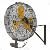 BIG ASS FANS Mounted Fan: 24 in Blade Dia, 120V AC, 1/3 hp Motor HP, Wall Mount, Non-Oscillating (MPN F-AE1-2401L13S34V56). Key specifications — Brand: BIG ASS FANS; Voltage: 120V AC; Number of Speeds: Variable; Fan Mounting Location: Wall; Oscillation: Non-Oscillating; Mounting Type: Bracket.