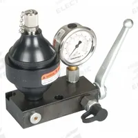 ENERPAC Diaphragm Accumulator & Control Unit: Pre-Charged (MPN ACBS22A). Key specifications — attr98880: ENERPAC; attr95429: G1/4 in; attr95430: 0.53 cu in @ 5000 psi.