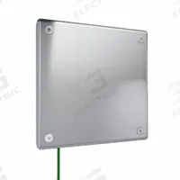 LEGRAND Wall Plate: Blank, 1 Gang, Silver, Jumbo Size (MPN WSP61B1PS). Key specifications — Brand: LEGRAND; Material: Stainless Steel; Includes: Torx Security Screws.