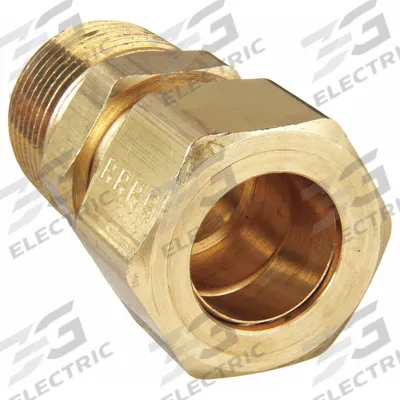 PARKER Compression Fitting Adapter: 3/4 in OD x 3/4 in Pipe Fitting Size, Compression x MNPT - Standard Sleeve Brass Compression Fittings
