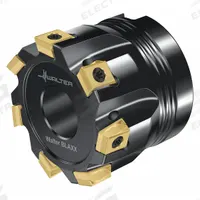 WALTER Indexable Face Mill: F5041.B22.063.Z07.08 (MPN 6195347). Key specifications — attr256955: F5041.B22.063.Z07.08.