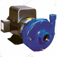 Centrifugal Pump: 10 hp, 208-230/460V AC, 170 ft Max Head, 2 in , 1 1/2 in Intake and Disch (MPN 5BF1L9G0). Key specifications — Brand: GOULDS WATER TECHNOLOGY; Motor Enclosure Type: TEFC.