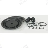 DAYTON Fluid End Repair Kit: Fluid End Repair Kit, 22A613, Santoprene, Santoprene. Key specifications — Manufacturer Part Number: 22A613.