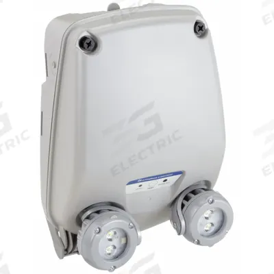 LITHONIA LIGHTING Emergency Light: 6.6 W Lamp Watt, 11 W Emergency Watt, 120 to 347V AC, 2 Lamp Heads - Plastic Wet Location Emergency Lights
