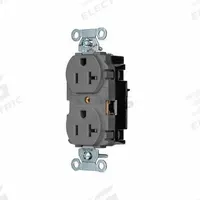 HUBBELL Receptacle: Duplex, 5-20, Gray, 125V AC, 20 A, 2 Pole / 3 Wire (MPN BR20STGY)