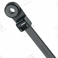 PANDUIT Cable Tie: 8 in Nominal Lg, 2 in Nominal Max. Bundle Dia., 0.19 in Wd, Black, Std, 100 PK (MPN PLC2S-S6-C0). Key specifications — Screw Mount Hole Size: #6; Color: Black; Brand: PANDUIT.