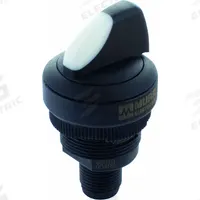 MURRELEKTRONIK Selector Switch: 22 mm Panel Mounting Size, 2 Positions, Short Lever, 2NO (MPN 69070). Key specifications — AC Contact Rating: 0.1 A @ 35 V; Action: Maintained/Momentary; DC Contact Rating: 0.1 A @ 35 V; Key Removal Position: Center; Operator Head Material: Plastic; Operator Head Type: Short-Handled Knob; Operator Illumination: Non-Illuminated; Switch Function @ 1st Position: Off.