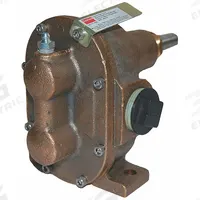 DAYTON Rotary Gear Pump Head: Magnetic Drive, Bronze Body, 1/4" FNPT, 4.8 gpm, SS Shaft Material (MPN 4KHG5). Key specifications — Brand: DAYTON; Ports: 1/4" FNPT; Includes Relief Valve: No.