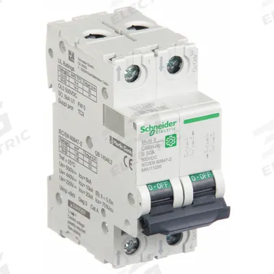 SCHNEIDER Supplementary Protector: 50 A Amps, 500V DC, 5kA at 250V DC, Screw Clamp - DC-Only Rated, 2-Pole UL1077 DIN Rail-Mount Supplementary Protectors