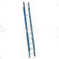 WERNER Extension Ladder: 20 ft Ladder Size, Fiberglass, 250 lb Load Capacity, 39 lb Wt, 2 Sections (MPN D6020-2). Key specifications — Color: Blue; Brand: WERNER; Included Features: Rope and Pulley; Removable Fly: Removable.
