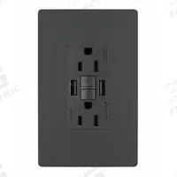 USB Receptacle: Duplex, 5-15R, 2 USB Ports, USB Type A, Graphite, 125V AC, 15 A, GFCI (MPN 1597TRUSBAAGC4). Key specifications — Brand: LEGRAND.