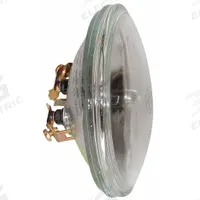 GE LAMPS Incandescent Bulb: Incandescent, PAR36, Screw Terminals, 100 W Watt, 2700K, Clear, 13V AC (MPN 4509). Key specifications — Bulb Finish: Clear; Color Temperature: 2700K; Shatter-Resistant: No; Brand: GE LAMPS; Voltage: 13V AC; Bulb Shape: PAR36.