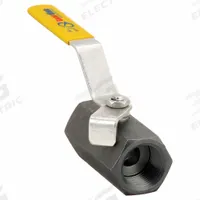 APPROVED VENDOR Manual Two-Way Ball Valve: 1 in, Carbon Steel, Straight, FNPT x FNPT, One-Piece (MPN 08Q011N06010S4). Key specifications — Brand: APPROVED VENDOR; Handle: Locking Lever.