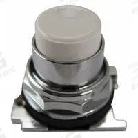 EATON Extended Push Button: 30 mm, Non-Metallic, Momentary (MPN 10250T116). Key specifications — Action: Momentary; Brand: EATON; Series: 10250T; Push Button Material Type: Non-Metallic.