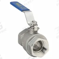 APPROVED VENDOR Manual Two-Way Ball Valve: 1 1/4 in, 316 Stainless Steel, Straight Valve Body, Lever (MPN G-SSF-125). Key specifications — Brand: APPROVED VENDOR; Handle: Lever.