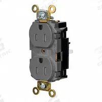 HUBBELL Receptacle: Duplex, 5-15, Gray, 125V AC, 15 A, 2 Pole / 3 Wire (MPN HBL5262STGYTR)