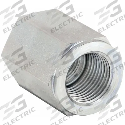 PARKER Metal Pipe Straight: 1 in x 1 in, Female NPT Threaded x Female BSPP Threaded - Threaded High-Pressure Pipe Fittings