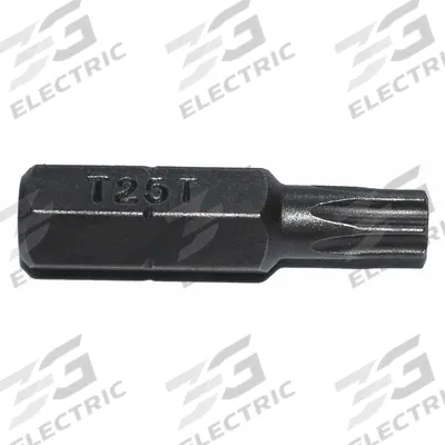 ZEPHYR Insert Bit: Insert Bit, Imperial, Security Torx Head, TR25 Bit Industry Size - Torx Security Bits