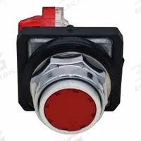 DAYTON Flush Push Button Operator: Non-Illuminated, Flush Profile, Metallic, 30 mm, 1NC (MPN GGS_116338). Key specifications — Brand: DAYTON; Action: Momentary; Push Button Material Type: Metallic.