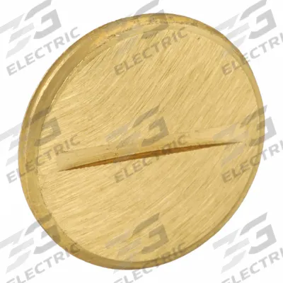 STEEL CITY Floor Plate Plug: Round, Brass, 671/672/78/88 - Insert Plugs & Accessories for Floor Boxes