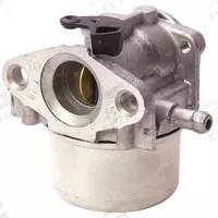 BRIGGS & STRATTON Carburetor: 799868. Key specifications — Manufacturer Part Number: 799868; Brand: BRIGGS & STRATTON; Product Type: Carburetor.