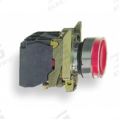 SCHNEIDER Illuminated Push Button: Illuminated, Flush Profile, Metallic, 22 mm - Illuminated Flush-Mount Push Buttons