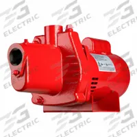 Shallow Well Jet Pump (MPN RJS-50-PREM). Key specifications — Rated Voltage: 115/230V AC; Brand: RED LION; Ejector Included: Ejector Included; Ejector: Included.