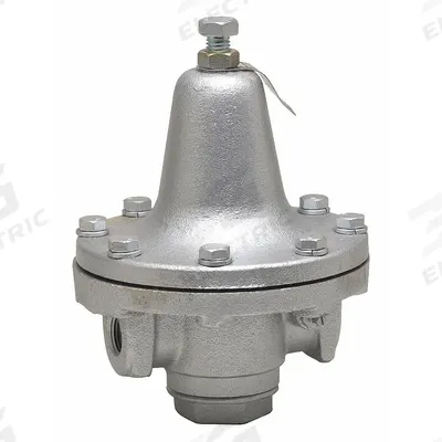 Watts Process Steam Pressure Regulator: Iron, FNPT x FNPT - Steam Pressure Regulators