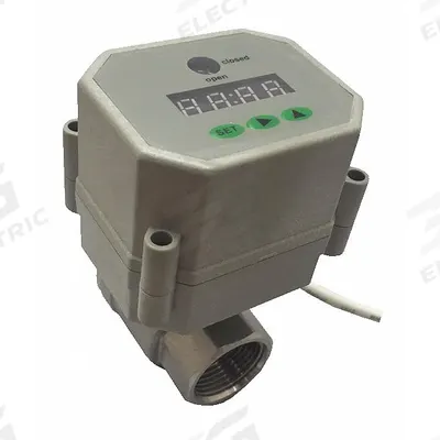 SPEEDAIRE Timed Electric Auto Drain Valve: 1 in NPT Pipe, 1 in Drain, 10 gpm, 115 V