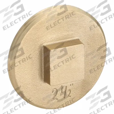 OATEY Plug: Plug, 2 1/2 in Fitting Pipe Size, NPT Threaded, Brass, 10 psi - Drainage Brass Pipe Fittings