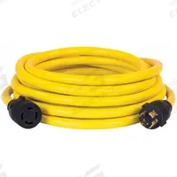 CHAMPION POWER EQUIPMENT Generator Extension Cord: Transfer Switch Cord, 25 ft Cord Lg, 250V AC (MPN 100395). Key specifications — Rated Voltage: 250V AC; Wire Size: 10 AWG; Brand: CHAMPION POWER EQUIPMENT.