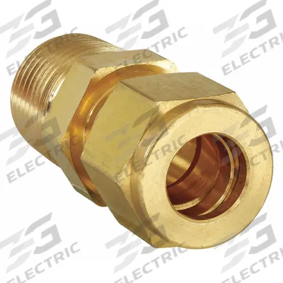 PARKER Compression Fitting Adapter: 1/4 in OD x 1/4 in Pipe Size, Compression x MNPT - Double-Ferrule Brass Compression Fittings