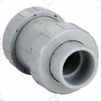 HAYWARD Check Valve: Ball, Inline Valve Body, CPVC, 2 in Pipe Size, True Union Socket/NPT, Std, EPDM (MPN TC20200STE). Key specifications — Ball Material: CPVC; Brand: HAYWARD.