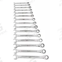 MILWAUKEE Combination Wrench Set: Alloy Steel, Chrome, 15 Tools, 8 mm to 22 mm Range of Head Sizes (MPN 48-22-9516). Key specifications — attr309581: Chrome; attr309580: Alloy Steel; attr309571: Yes; attr309583: No; attr309587: Yes; attr324931: MILWAUKEE; attr309569: 8 mm to 22 mm; attr309572: Tray.