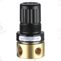 SPEEDAIRE Compressed Air Regulator: Brass, 1/4 in NPT, 15 cfm, 5 psi to 125 psi, Nonrising (MPN 4ZM06). Key specifications — attr111664: No; attr111400: Miniature; attr111627: SPEEDAIRE.