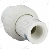 PLAST-O-MATIC Check Valve: Diaphragm, Inline Valve Body, 1/4 in Pipe Size, FNPT x FNPT, Female, NPT (MPN CKD025V-PP). Key specifications — Brand: PLAST-O-MATIC; Diaphragm Material: FKM.