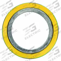 Spiral Wound Flange Gasket: Graphite Filler, 316L Stainless Steel Winding, For 2 1/2 in Pipe (MPN CG). Key specifications — Brand: FLEXITALLIC.