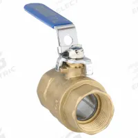 APPROVED VENDOR Manual Two-Way Ball Valve: 1 in, Brass, Straight, FNPT x FNPT, Full Port Ball Port (MPN G-F600-100LH). Key specifications — Brand: APPROVED VENDOR; Handle: Locking Lever.