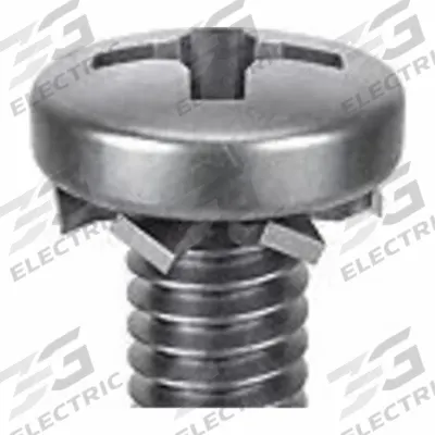 SEMS Screw: External Tooth, 1/4"-20 Thread Size, 7/8 in Lg, Stainless Steel - Machine Screws with External Tooth Lock Washers