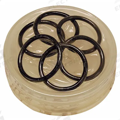 WHEELER-REX Pump Repair Kit: Pump Repair Kit - Wheeler-Rex Repair Parts for Hydrostatic Test Pumps
