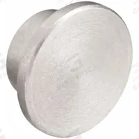 PRO WELD Stop Pin: For 1 1/4 in Stud Lg, 1/4 in Overall Lg, Steel (MPN 033-778). Key specifications — Brand: PRO WELD; Material: Steel; Manufacturer Part Number: 033-778.