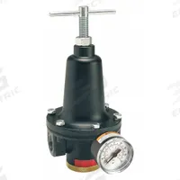 PARKER Compressed Air Regulator: Zinc, 1 in NPT, 400 cfm, 2 psi to 125 psi, 300 psi Max Op Pressure (MPN R119-08CG/M2). Key specifications — attr111664: Yes; attr111400: R119; attr111627: PARKER.