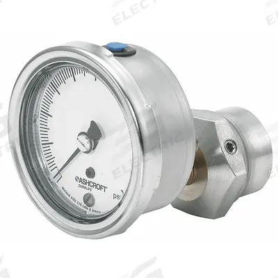 ASHCROFT Pressure Gauge with Diaphragm Seal: 0 psi to 600 psi, 1009/310-315, 2 1/2 in Dial - Dial Pressure Gauges with 316 SS Female-Threaded Mini-Seal